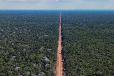 Senado aprova novo marco do licenciamento ambiental e setor produtivo comemora: "Fim da burocracia excessiva"